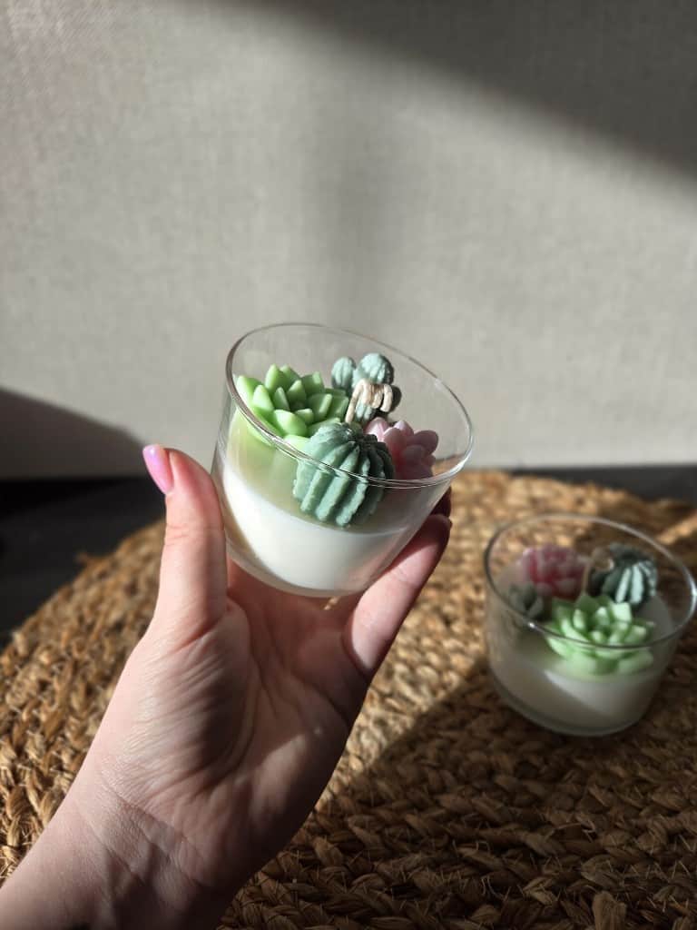 Mazā sukulentu oāze