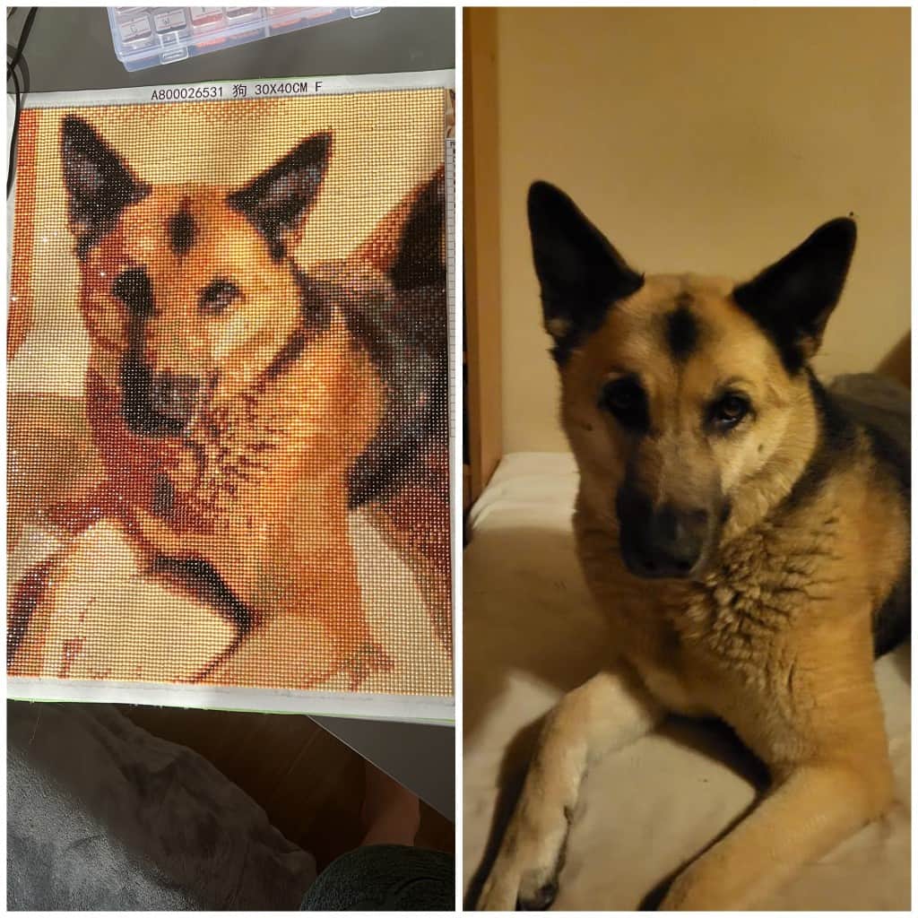 Dimanta mozaīku glezna pēc jūsu bildes