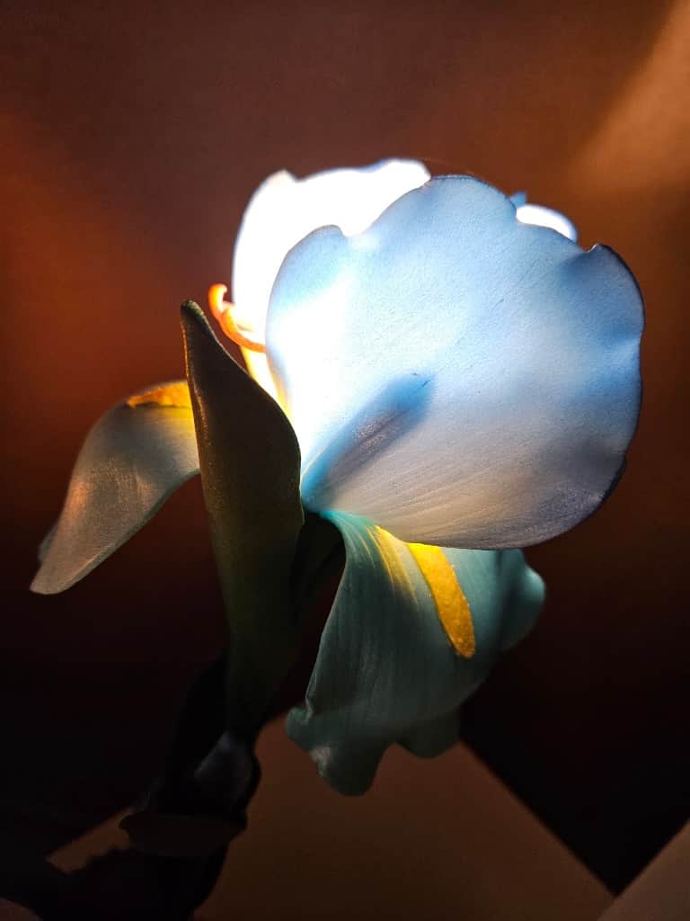 Naktslampiņa "ĪRISI"