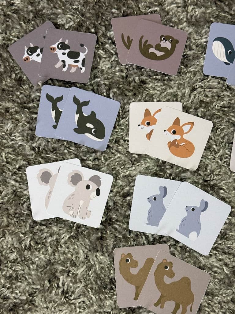 Spēle “Atrodi pāri”