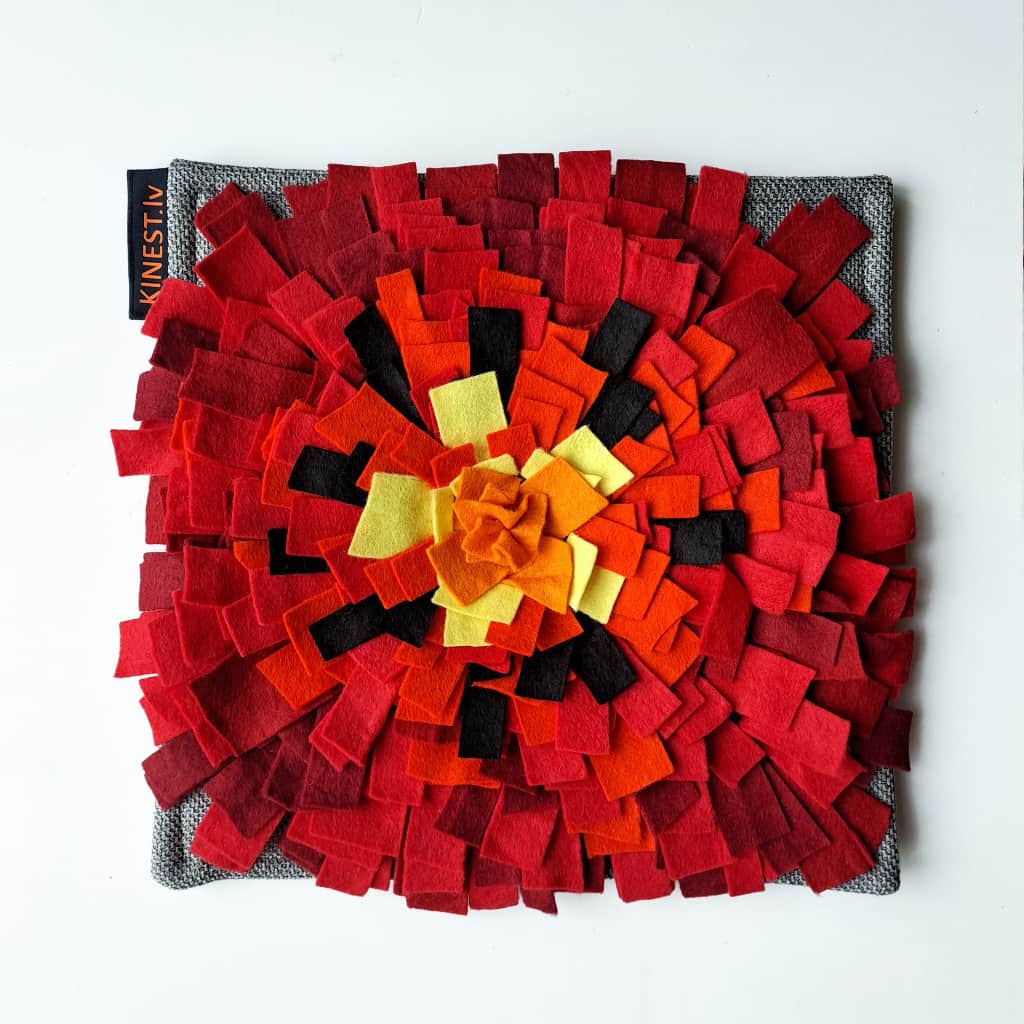 Paklājiņš suņiem gardumu meklēšanai "Magone"