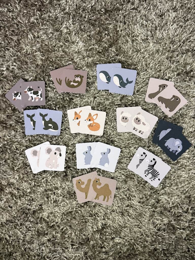 Spēle “Atrodi pāri”