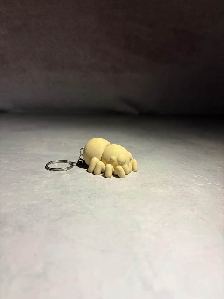 Zirneklitis Atslēgu piekariņš