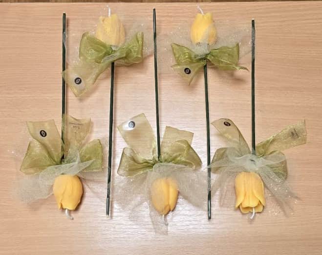 Svece - Tulpe uz kāta (sojas & kokosriekstu vasks)