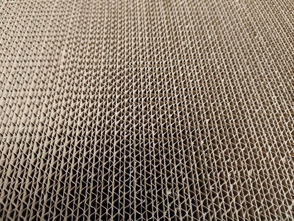 Kaķu nagu skrāpis.