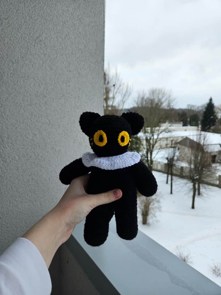 Melns liels kaķis🐱