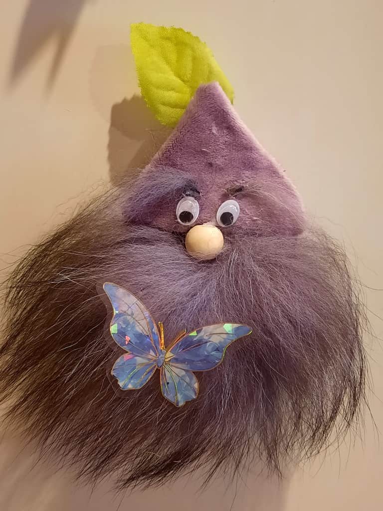 Magnetini- mājas gariņš.