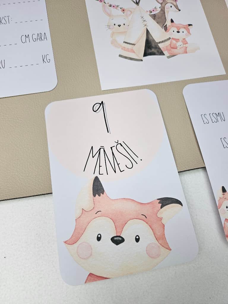 Mēneškartītes Kate