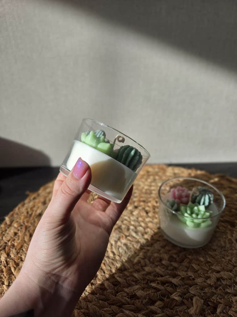 Mazā sukulentu oāze