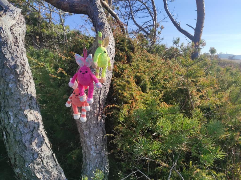 Krāsains zaķis grabulis.